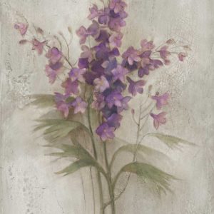 Purple Larkspur Garden on Grey