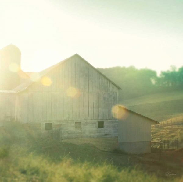 Farm Morning II Square