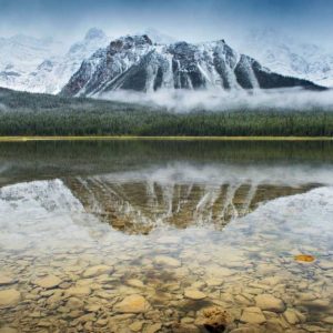 Waterfowl Lake I