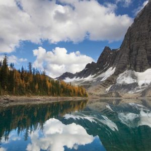 Floe Lake Reflection I