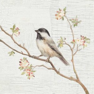 Black Capped Chickadee Vintage