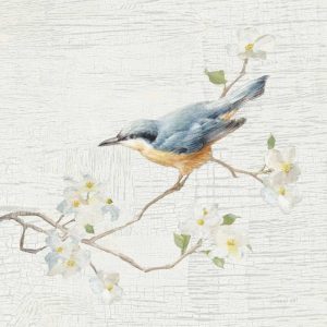 Nuthatch Vintage