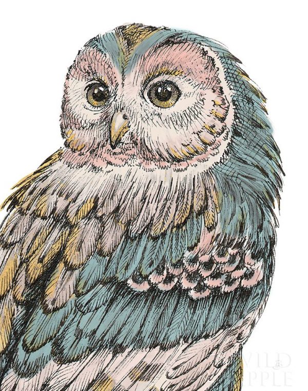 Beautiful Owls I Pastel