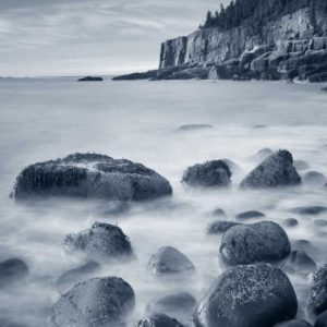 Acadia Coast Crop