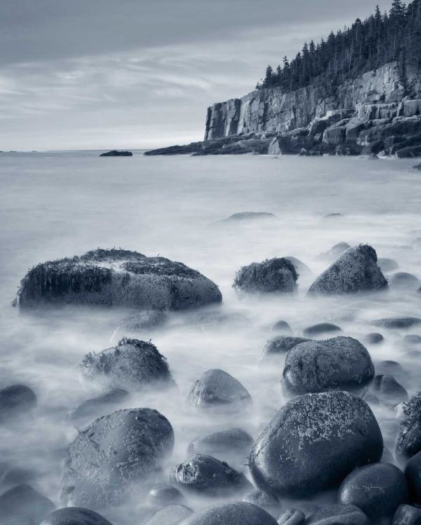 Acadia Coast Crop