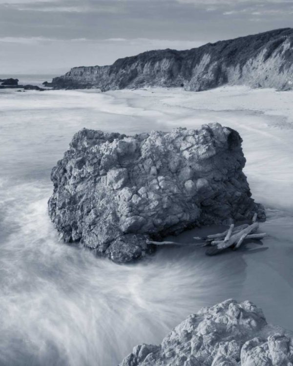 California Coast Crop