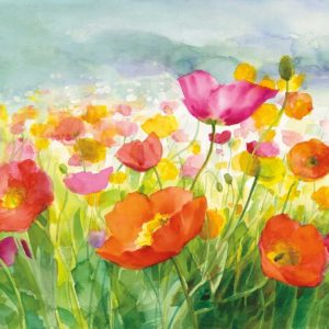 Meadow Poppies