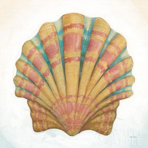 Boardwalk Scallop