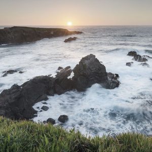 Mendocino Coast