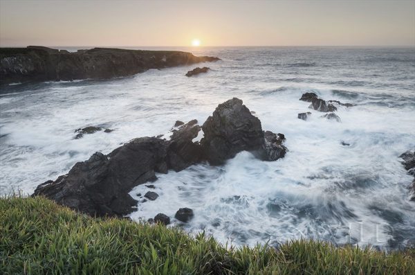 Mendocino Coast