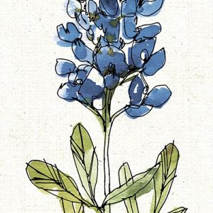 Texas Bluebonnet IV