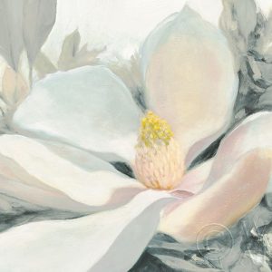 Majestic Magnolia Green Gray Crop