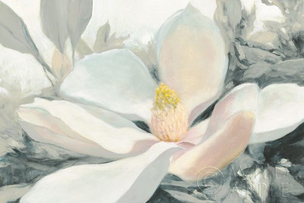 Majestic Magnolia Green Gray Crop