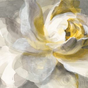 Abstract Rose