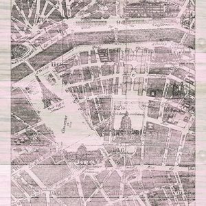 Plan de Paris Panel on Wood v2 Blush