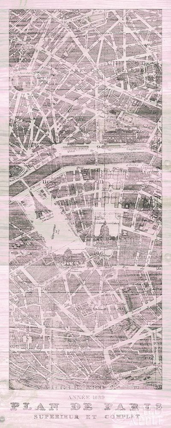 Plan de Paris Panel on Wood v2 Blush