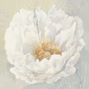 Serene Peony