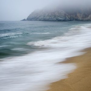 Gray Whale Cove