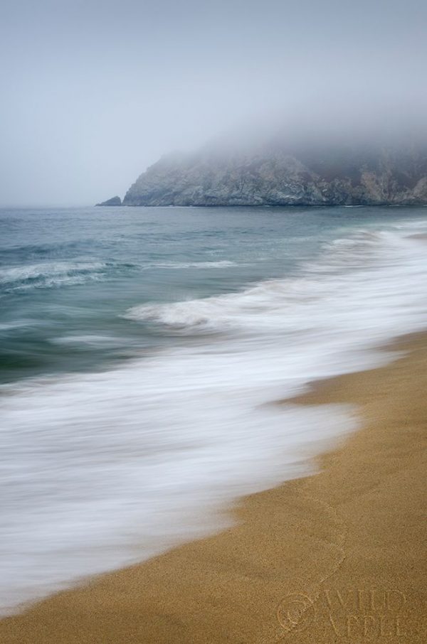 Gray Whale Cove