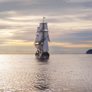 Lady Washington III