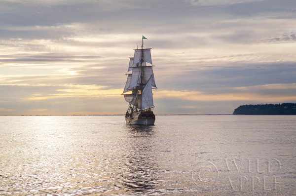 Lady Washington III