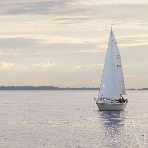 Sailboat in Semiahmoo Bay