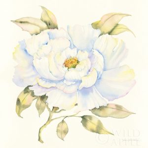 Peony