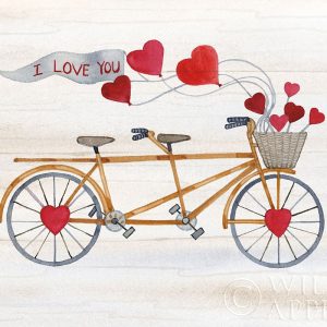 Rustic Valentine Bicycle