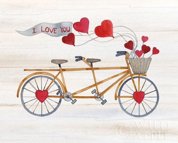 Rustic Valentine Bicycle