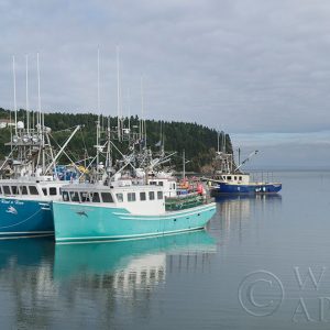 Bay of Fundy I