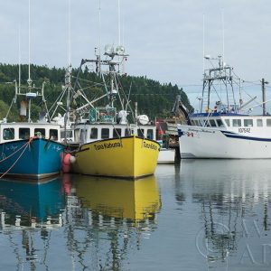 Bay of Fundy II