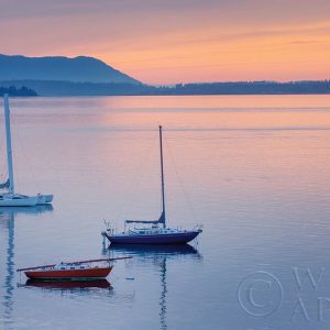 Bellingham Bay