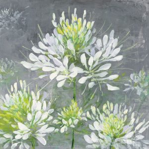 Farmhouse Cleome I