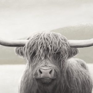 Highland Cow Neutral