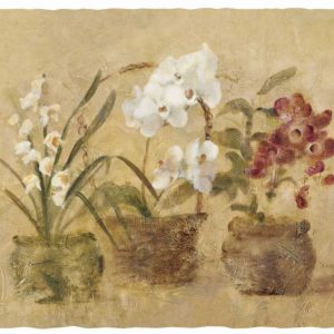 Collection of Orchids-48x35.5