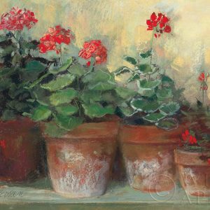 Kathleens Geraniums Crop