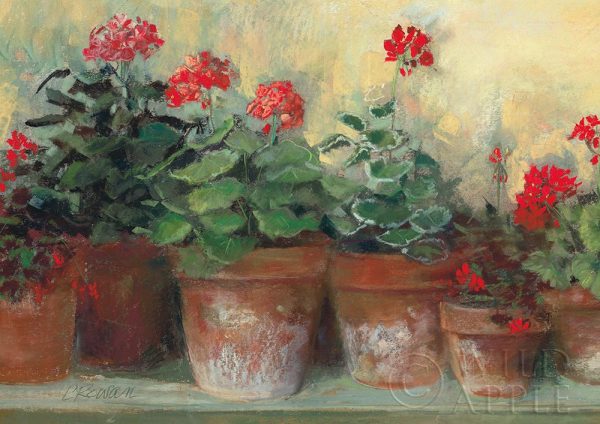 Kathleens Geraniums Crop