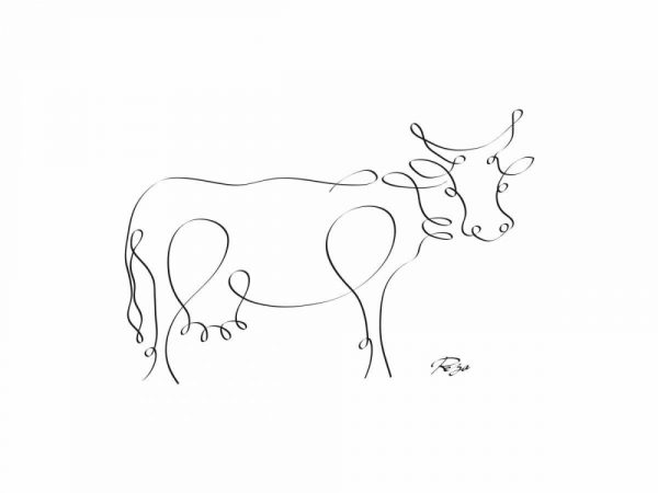 Cow