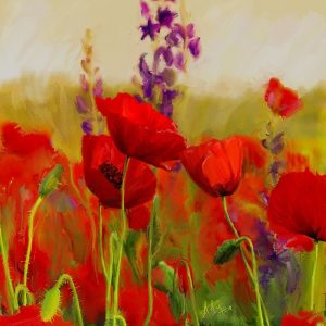 Poppies