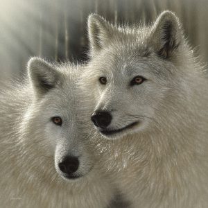 Wolves - Sunlit Soulmates