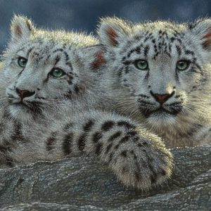 Snow Leopard Cubs