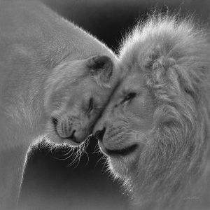 White Lion Love - BandW