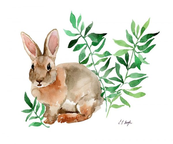 Brown Bunny with Green leaves