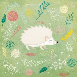 Woodland Hedgehog