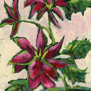 Poinsettia II