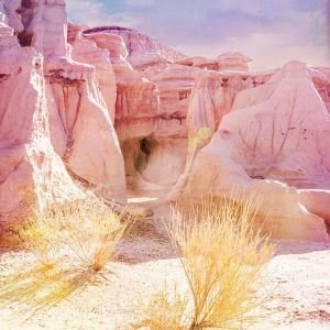 Bisti Badlands Desert Sculpture II