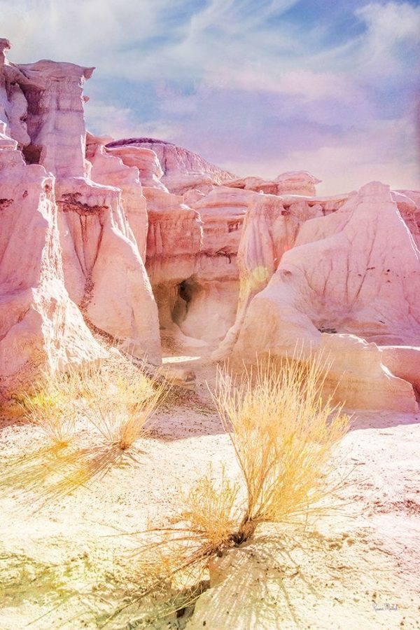 Bisti Badlands Desert Sculpture II