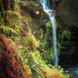 Black Forest Lower Falls