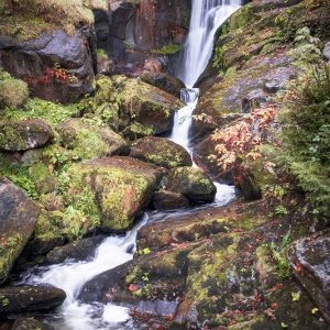 Black Forest Upper Falls