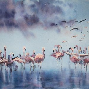 Flamingo Gathering